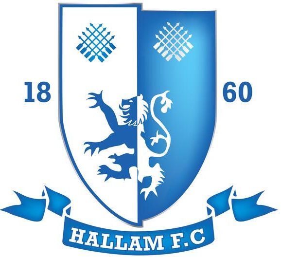 Hallam FC Playing On The World s Oldest Football Ground