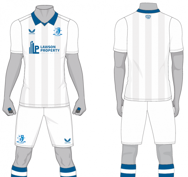 Replica Shirt - Adult Sizes - Image 4
