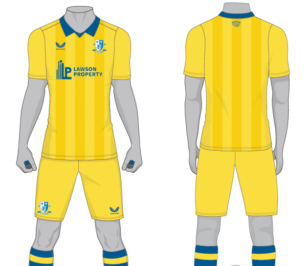 Replica Shirt - Adult Sizes - Image 3