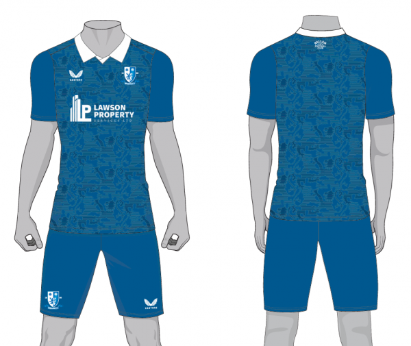 Replica Shirt - Adult Sizes - Image 2