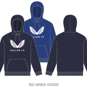 Big Wings Hoodie